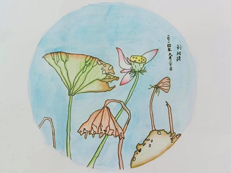 ��������.(�й�)�ٷ���վ-dexin sports