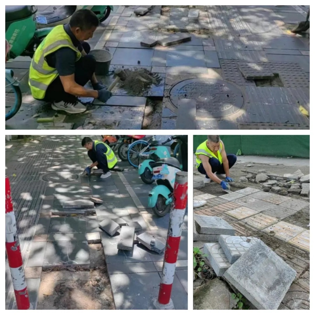 ��������.(�й�)�ٷ���վ-dexin sports