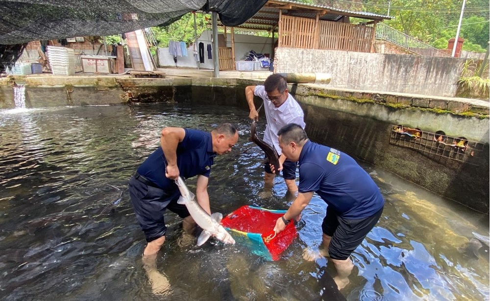 ��������.(�й�)�ٷ���վ-dexin sports